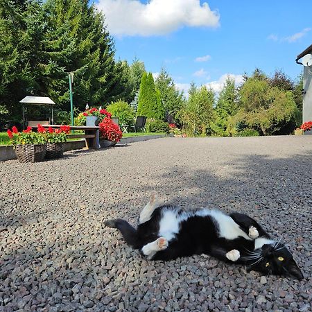 Noclegi U Przewodnikow - Zwiedzaczek ลูบาฟกา ภายนอก รูปภาพ