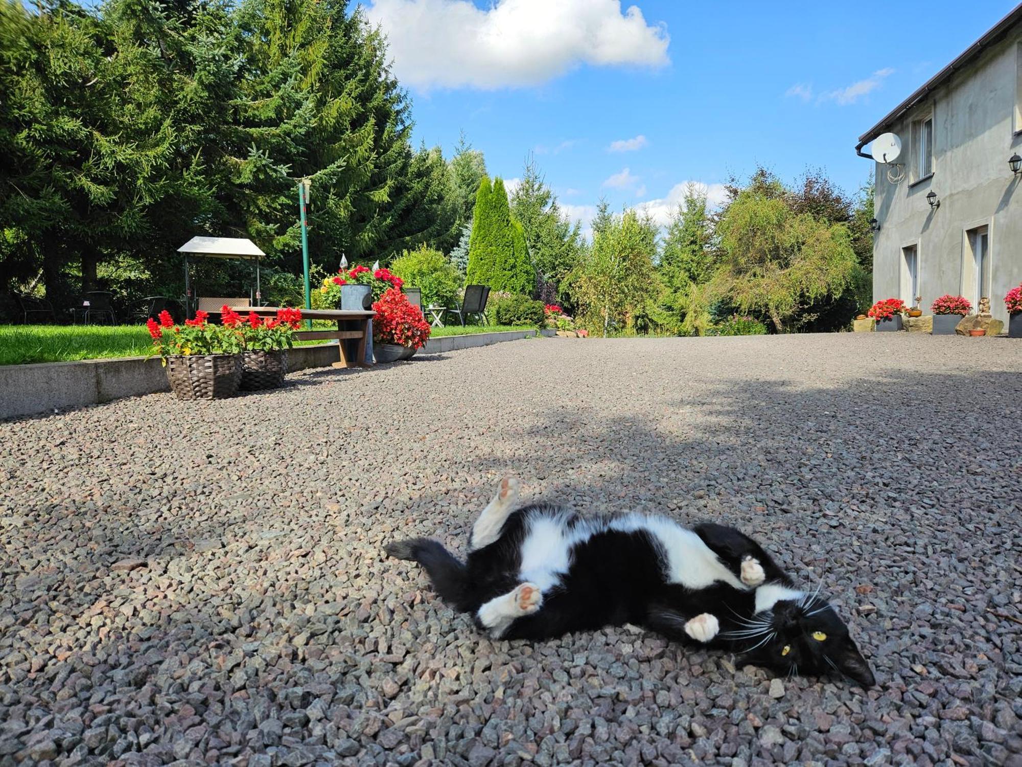 Noclegi U Przewodnikow - Zwiedzaczek ลูบาฟกา ภายนอก รูปภาพ